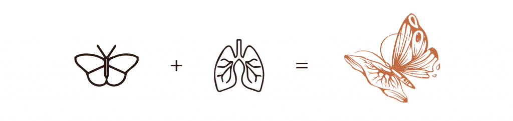 addition papillon et poumon pour créer le logo du site internet