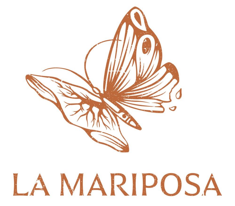 logo la mariposa terracotta