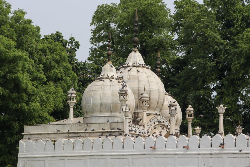 Delhi