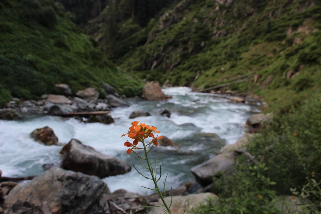 Naranag